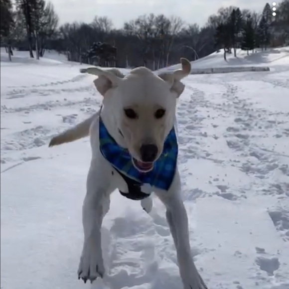 Profile Picture of John Hoffmann (@sammyboy10954) on Poshmark