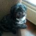 Profile Picture of Peter Priebe (@peter.priebe.98) on Facebook
