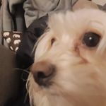 Profile Picture of Alvin Lindström (@alvin.lindstrom.77) on Instagram