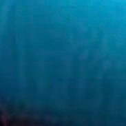 Profile Picture of Bill Gates (@_CamillaDouglas) on Twitter