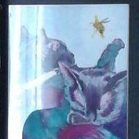 Profile Picture of Ruth Cox (@ruth-cox-9) on Quora