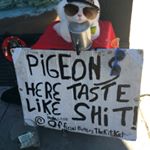 Profile Picture of Eddy Edwards (@eddyedwardsbear) on Instagram