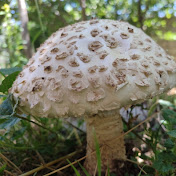 Profile Picture of Mohammad Fathi (@MohammadFathi-t8k) on Youtube