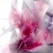 Profile Picture of Nancy Sharrock (@nancymsharrock) on Pinterest