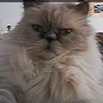 Profile Picture of Mary Pat Codd (@marypatcodd) on Instagram