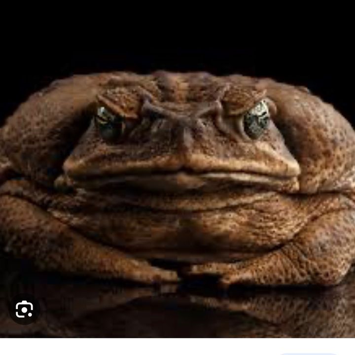 Raymond Eby - Tiktok Profile Picture of Raymond Eby (@raymond_eby) on Tiktok