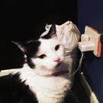 Profile Picture of Dexter Clements (@jayleeneille) on Instagram