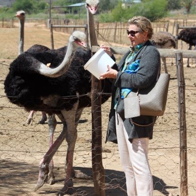 Profile Picture of Karen Howard-Tripp (@karen_tri1) on Twitter
