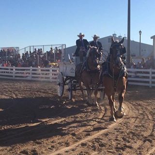 Profile Picture of Tony Sikora (@tony.sikora.9) on Facebook