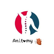 Profile Picture of Hafiz Muhammad Abbas (@HafizMuhammadAbbas) on Youtube