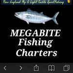 Profile Picture of Jason Sawicki (@megabitefish_ne) on Instagram