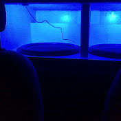 Profile Picture of Eric Adamson (@sparco317) on Youtube