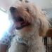 Profile Picture of Kenneth Logerquist (@kenneth.logerquist) on Facebook
