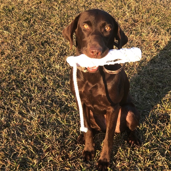 Profile Picture of Cody Hoeflicker (@codyhoeflicker) on Poshmark