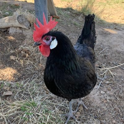 Profile Picture of Scott Braden (@greenriverscott) on Twitter