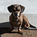 Profile Picture of Steven Mcmahon (@steven m. mcmahon) on Flickr