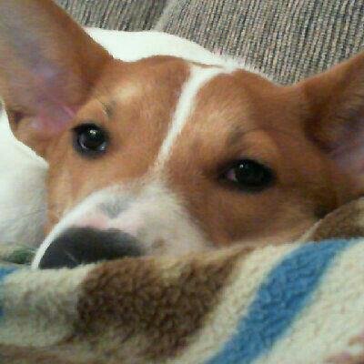 Profile Picture of Peter Funk (@FunkPeterfunk92) on Twitter