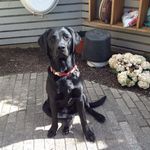 Profile Picture of Lisa Carstensen (@lisa.carstensen.585) on Instagram