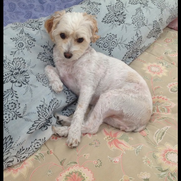 Profile Picture of Marie Rasasak (@econlv) on Poshmark