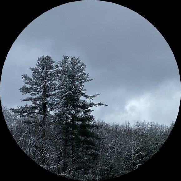 Vee Campbell - Poshmark Profile Picture of Vee Campbell (@veecampbell18) on Poshmark