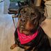 Profile Picture of David Littler (@david.littler.77) on Facebook
