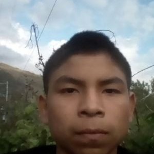 Profile Picture of Erik Darwin (@ErikDarwin2) on Twitter
