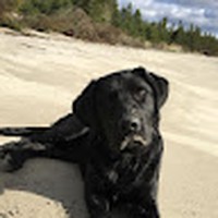 Profile Picture of Brenda Matzigkeit (@brenda-matzigkeit-2) on Quora
