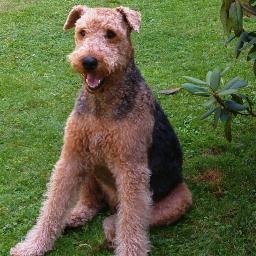 Profile Picture of Siegfried Müller (@Sommerstolle) on Twitter