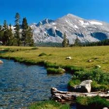 Profile Picture of Myra Ray (@myra.ray.129) on Facebook