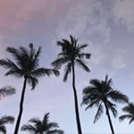 Profile Picture of Grant Doran 🤙🏼 (@grantadoran) on Instagram