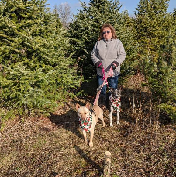 Profile Picture of Chris Mcmurray (@jesterone27) on Poshmark