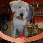 Profile Picture of Joerg Wegel (@joergwegel) on Instagram