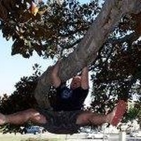 Profile Picture of Daniele Avitabile (@daniele-avitabile) on Quora