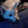 Profile Picture of Brent Bearden (@lance25maximus) on Pinterest