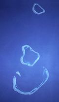 Profile Picture of Scott and Seringapatam Reefson Wikipedia