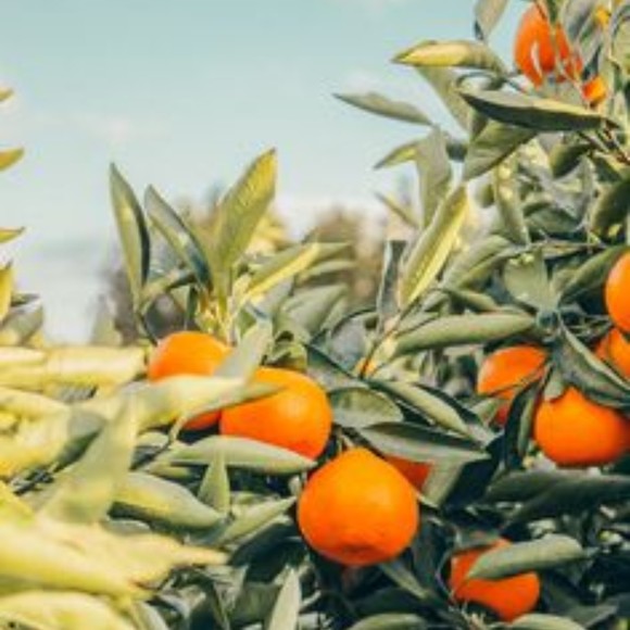 !sabrina Randall - Poshmark Profile Picture of !sabrina Randall (@meprezloi6241) on Poshmark