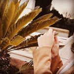 |AMAL ATALLAH ALDRANI | - Instagram Profile Picture of |AMAL ATALLAH ALDRANI | (@amoolata) on Instagram