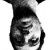 Profile Picture of Daniel Argento (@danielargento) on Pinterest