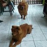 Profile Picture of Genaro Jimenez (@genaro.jimenez.902266) on Instagram