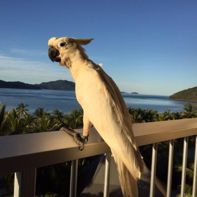 Profile Picture of Chris Durrant (@CDstaggerer) on Twitter