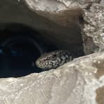 Jakub Borovička - Facebook Profile Picture of Jakub Borovička (@Jakub-Borovička) on Facebook