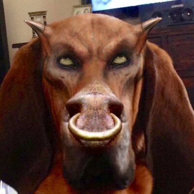 Profile Picture of Kim Baer (@kimbaer4967) on Twitter