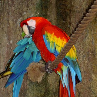 Profile Picture of Marlene Andersen (@Marlene-Andersen) on Facebook