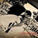 Profile Picture of Christina Dudziak-Weiss (@chrissydud) on Pinterest