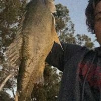 Profile Picture of Jesse Box (@jesse-box-1) on Quora