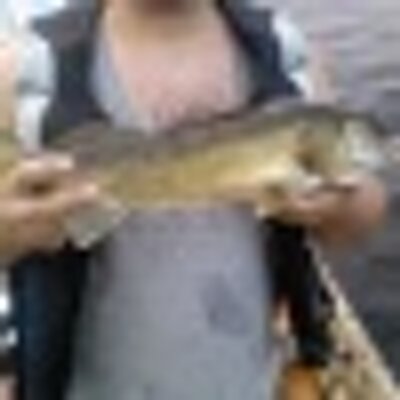 Profile Picture of Gordon Parsons (@gordo3k49) on Twitter