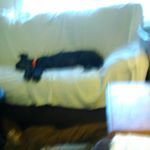 Profile Picture of Tami Grimes (@tami.grimes.79) on Instagram