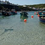Profile Picture of Ian Carey (@coverack_harbour_boat_trips) on Instagram