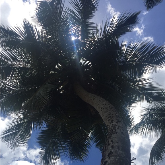 Profile Picture of Sophia Chadima (@schadima) on Poshmark