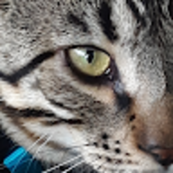 Profile Picture of Stella Greystone (@stellagreystone) on Poshmark